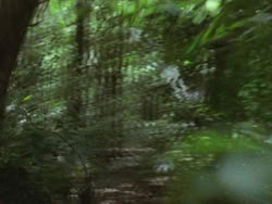 extant_HTLJ_3x13-Encounter_04753