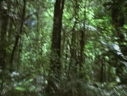 extant_HTLJ_3x13-Encounter_04755