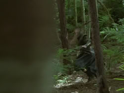 extant_HTLJ_3x13-Encounter_04758