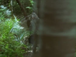 extant_HTLJ_3x13-Encounter_04759