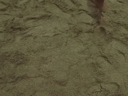extant_HTLJ_3x14-WhenAManLovesAWoman_02793