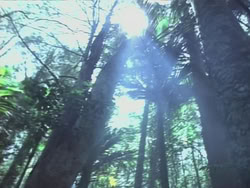 extant_HTLJ_3x14-WhenAManLovesAWoman_03556