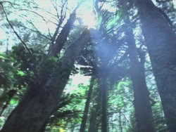 extant_HTLJ_3x14-WhenAManLovesAWoman_03557