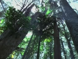 extant_HTLJ_3x14-WhenAManLovesAWoman_03559