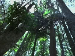 extant_HTLJ_3x14-WhenAManLovesAWoman_03560