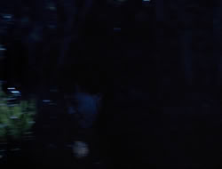 extant_HTLJ_3x15-JudgmentDay_01408