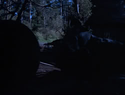 extant_HTLJ_3x15-JudgmentDay_01412