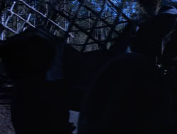 extant_HTLJ_3x15-JudgmentDay_01414