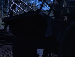 extant_HTLJ_3x15-JudgmentDay_01415