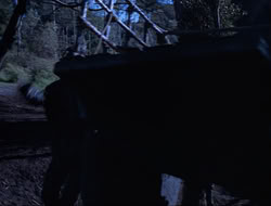 extant_HTLJ_3x15-JudgmentDay_01416