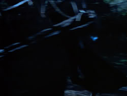 extant_HTLJ_3x15-JudgmentDay_01437
