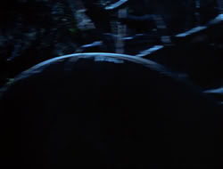 extant_HTLJ_3x15-JudgmentDay_01438