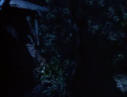 extant_HTLJ_3x15-JudgmentDay_01440