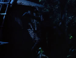 extant_HTLJ_3x15-JudgmentDay_01441