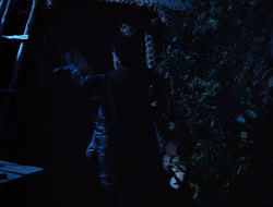 extant_HTLJ_3x15-JudgmentDay_01442
