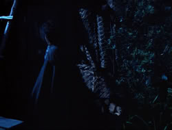 extant_HTLJ_3x15-JudgmentDay_01443