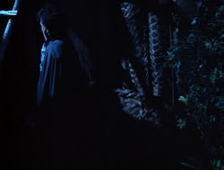 extant_HTLJ_3x15-JudgmentDay_01444