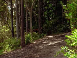 extant_HTLJ_3x15-JudgmentDay_02121