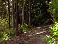 extant_HTLJ_3x15-JudgmentDay_02122