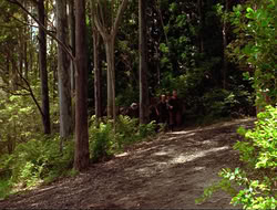 extant_HTLJ_3x15-JudgmentDay_02124