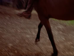 extant_HTLJ_3x15-JudgmentDay_02177