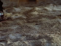 extant_HTLJ_3x15-JudgmentDay_02612