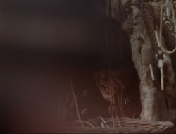 extant_HTLJ_3x15-JudgmentDay_02809