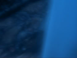 extant_HTLJ_3x15-JudgmentDay_03617