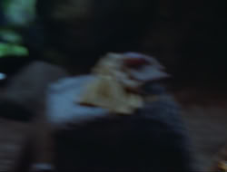 extant_HTLJ_3x15-JudgmentDay_03715