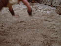 extant_HTLJ_3x15-JudgmentDay_04342