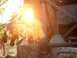 extant_HTLJ_3x15-JudgmentDay_04689