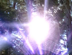extant_HTLJ_3x15-JudgmentDay_04840