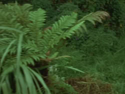 extant_HTLJ_3x18-ReignOfTerror_00015
