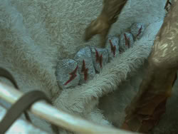 extant_HTLJ_3x18-ReignOfTerror_00339