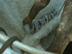 extant_HTLJ_3x18-ReignOfTerror_00340