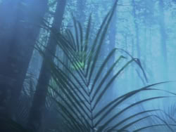 extant_HTLJ_3x18-ReignOfTerror_00650