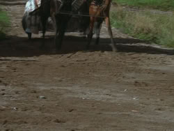 extant_HTLJ_3x18-ReignOfTerror_01586