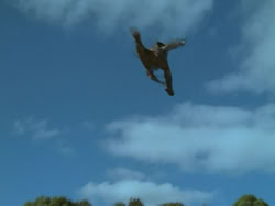 extant_HTLJ_3x18-ReignOfTerror_01919
