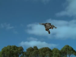 extant_HTLJ_3x18-ReignOfTerror_01920