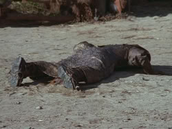 extant_HTLJ_3x18-ReignOfTerror_01945