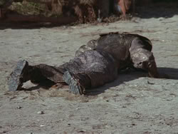 extant_HTLJ_3x18-ReignOfTerror_01947