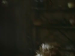 extant_HTLJ_3x18-ReignOfTerror_03218