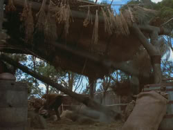 extant_HTLJ_3x18-ReignOfTerror_03310