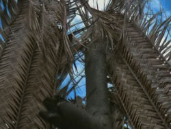 extant_HTLJ_3x18-ReignOfTerror_03328