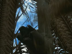 extant_HTLJ_3x18-ReignOfTerror_03329