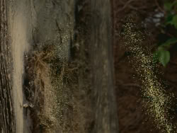 extant_HTLJ_3x18-ReignOfTerror_03750