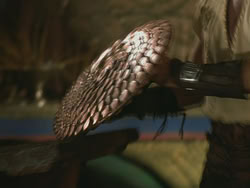 extant_HTLJ_3x18-ReignOfTerror_04475
