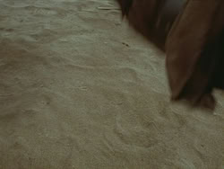 extant_HTLJ_3x19-TheEndOfTheBeginning_01123