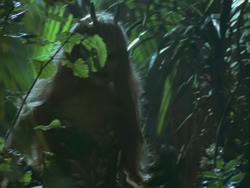 extant_HTLJ_3x19-TheEndOfTheBeginning_01584