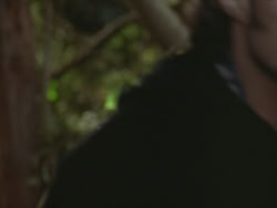 extant_HTLJ_3x19-TheEndOfTheBeginning_01686